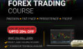 learn forex trading online course